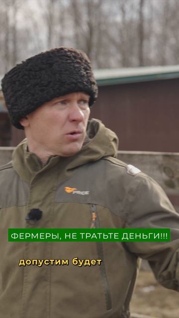 На ферме ЭТИ ВЕЩИ бесполезны! Слил 80% капитала смотреть онлайн