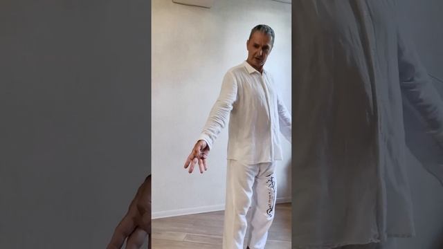 Утренний Цигун Онлайн. Исцеление позвоночника. Основы форм Тайцзи.