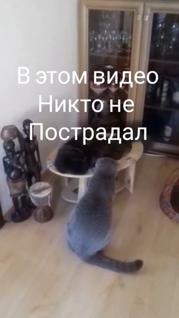 Битва за Гамак