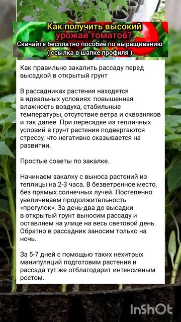 рекомендации по закаливанию рассады, а также уход.