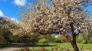 Есть_На_Что_Посмотреть__Гуляем. Рената Смирнова. 2025