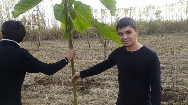 Россия Астана Казахстан Кыргызстан Надёжный Бизнес смотреть онлайн