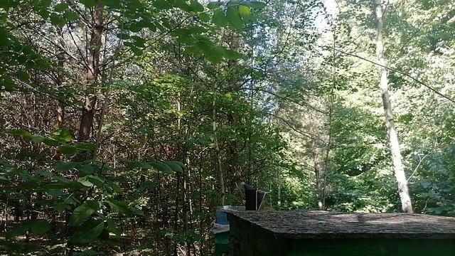 Качали липавый мед 8 июля 2021г смотреть онлайн