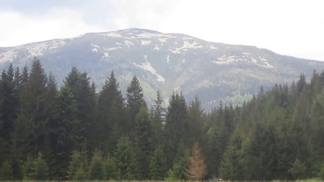 пол.Середня-г.Сивуля-пол.Росчина 30 05 15_1302