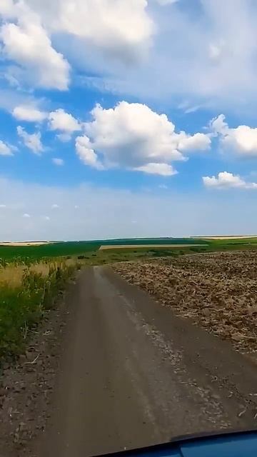 Не плюй в колодец... #мудрость #wisdom #shorts смотреть онлайн