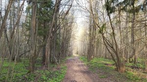 Дачный первомай 2025. 2 серия.