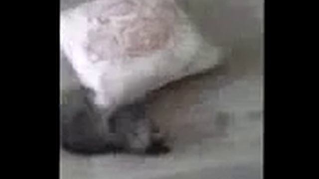 Ржачные приколы Беговая подушка Различные короткие видео ролики, приколы и др @ смотреть онлайн