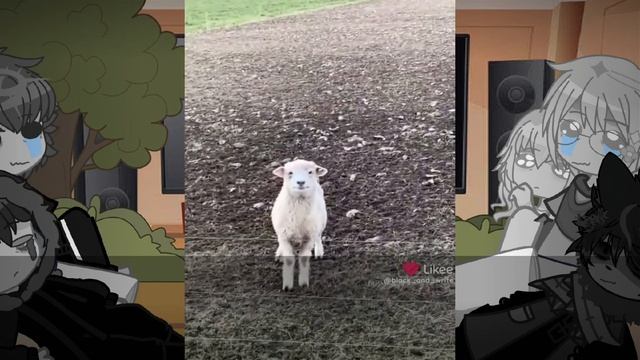 |Реакция персонажей "зайчик" на тт/лайк|°^°| смотреть онлайн