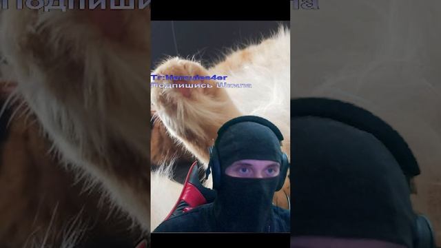 ТГ - Hercules4er ИВАН ЗОЛО НЕ КРАШ?! Альцгеймер 2.0 ЧАТ РУЛЕТКА смотреть онлайн