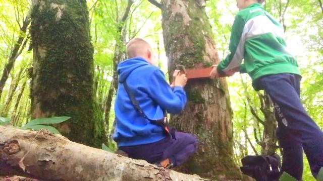 Строим домик на дереве часть 2 !🌳🪵🔨🪜🪓👍