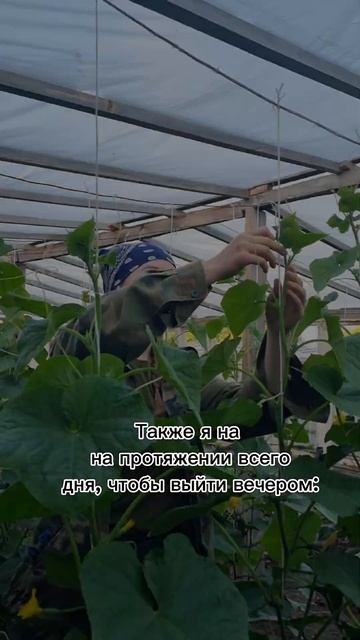 Жизааа #деревня #огород #вечер смотреть онлайн