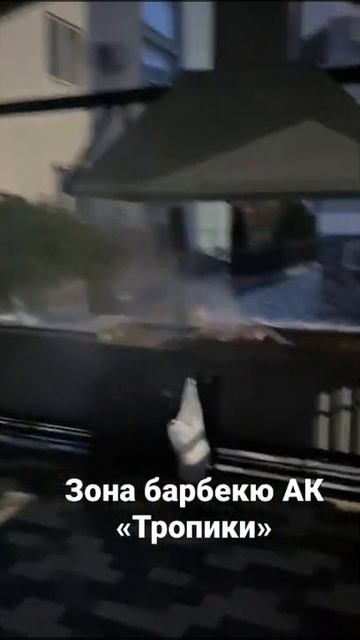 Зона барбекю АК «Тропики» смотреть онлайн