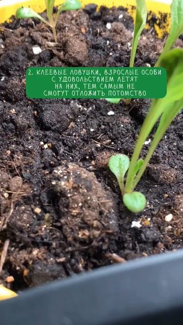 #сад #дача #дом #огород #кухня смотреть онлайн