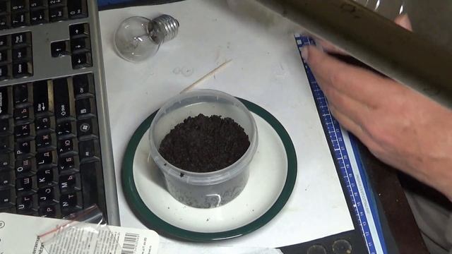 Клубника из семян 1 часть