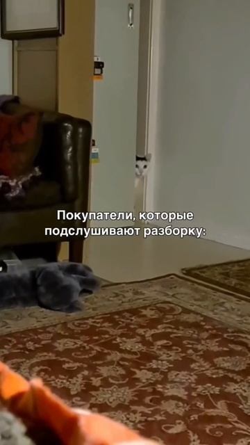 ПРИШЛА С СОБАКОЙ В МАГАЗИН🛍️ #смешныеживотные #собака #корги #юмор #смешно #жиза #шпиц #магазин