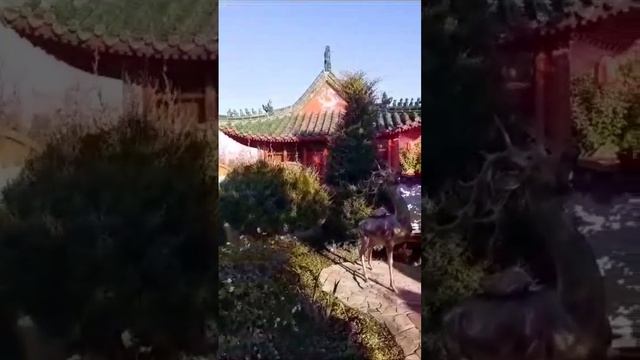 Мой Сынок ❤ смотреть онлайн