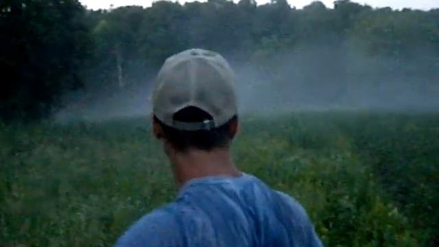 Урочище Верхние Елгуши