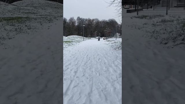 Германия, Прогулка в каляске, тест драйв на снег; пройден нормально