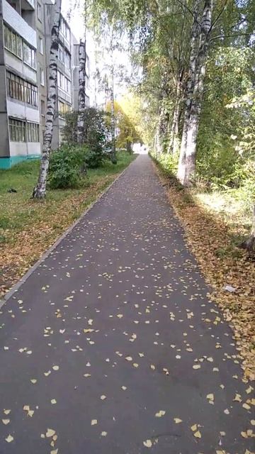 Вот и осень... Иваново-Кохма!!! смотреть онлайн