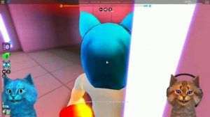 КОТИК ИГРОМАН И КОТЁНОК ЛАЙК//СМЕШНЫЕ МОМЕНТЫ #4 (ФИНАЛ)