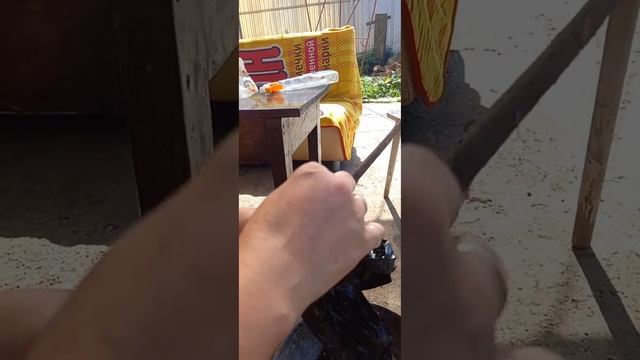 саженец абрикос Триумф смотреть онлайн