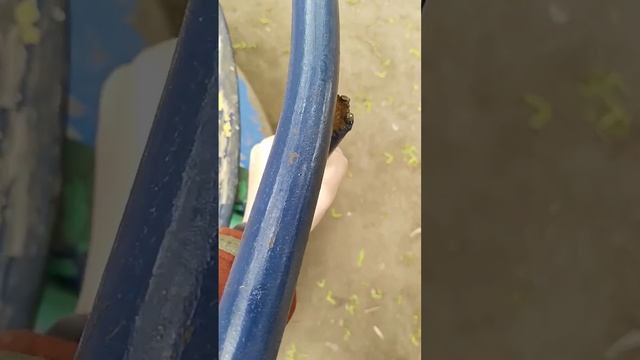 #funny качель просто топ смотреть онлайн