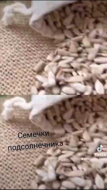 Семечки подсолнечника очищенные смотреть онлайн