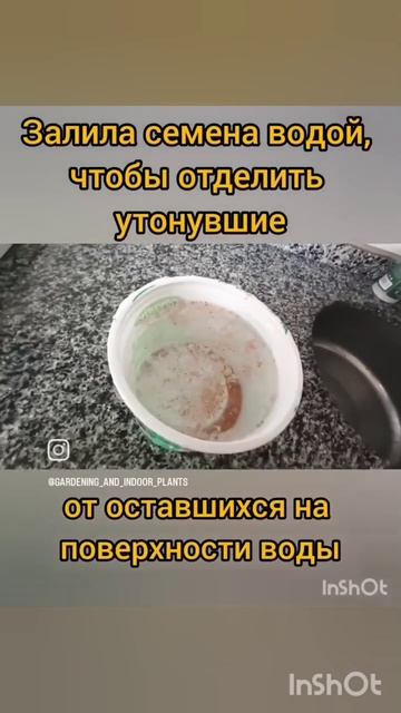 Как отделить семена малины от ягоды #flowers #garden #огород #i смотреть онлайн