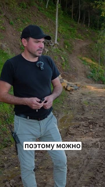 НЕДОРОГИЕ РАСТЕНИЯ ДЛЯ ЛАНДШАФТА ✅ 🔥 #озеленениеуча? смотреть онлайн