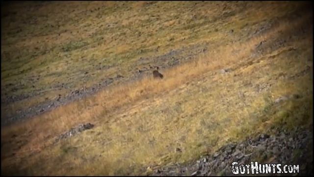 ОХОТА НА МЕДВЕДЯ Alaska Brown Bear Hunts смотреть онлайн