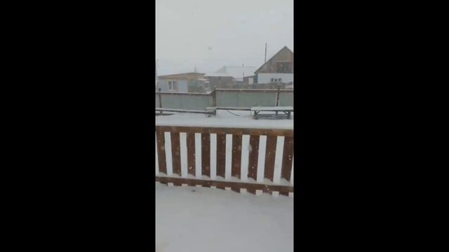 Майский снегопад в Республике Алтай смотреть онлайн