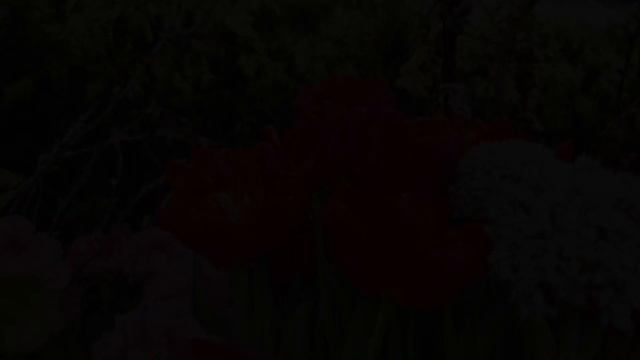 "Войди в мой дом" - Станислав Лемешкин (Репетиция весны смотреть онлайн