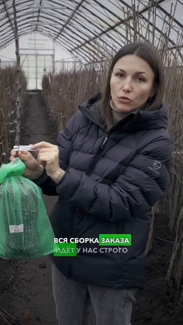 Маркировка плодовых саженцев 🪴 #сад #садоводничество смотреть онлайн