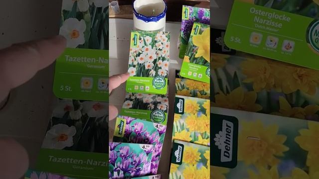 Весенние цветы за 1 евро смотреть онлайн