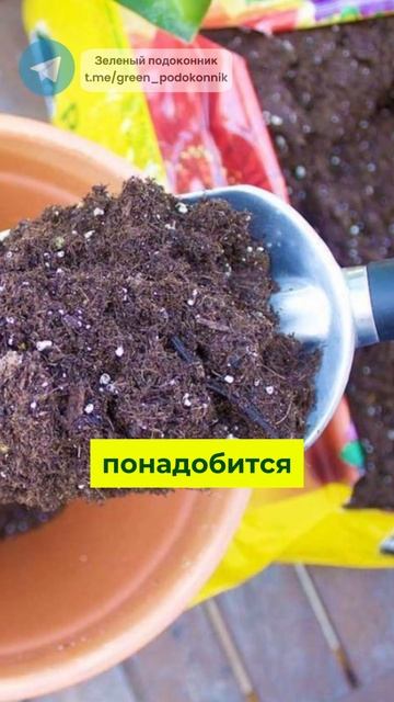 Как приготовить правильный субстрат для растений. #цв? смотреть онлайн