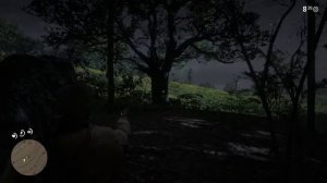 Red Dead Redemption 2 ПРОХОЖДЕНИЕ 3 ГЛАВА # ПИСЬМО ОТПРАВЛЕНО