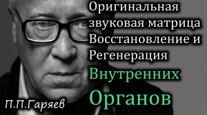 🎧 Оригинальная звуковая матрица П.П. Гаряева для восстановления и регенерации внутренних органов.