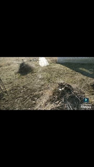23. Участок. Косим траву, убираем. Чисто, красиво! #домвс? смотреть онлайн