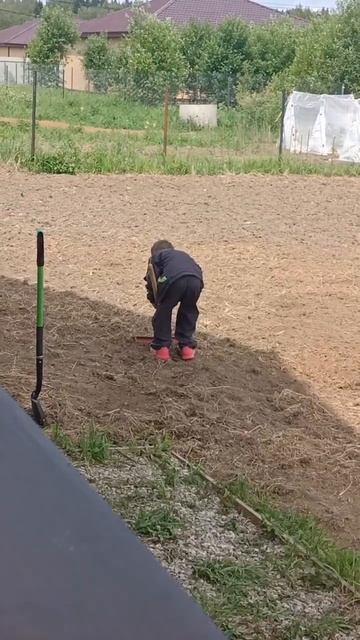 ребёнок сам берёт грабли .. смотреть онлайн