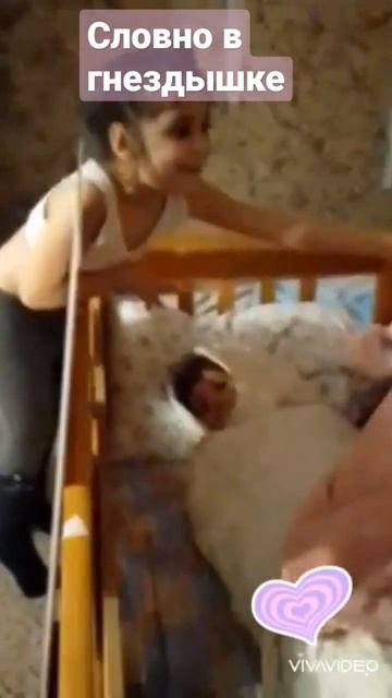 сестры, построила навес в кроватку смотреть онлайн