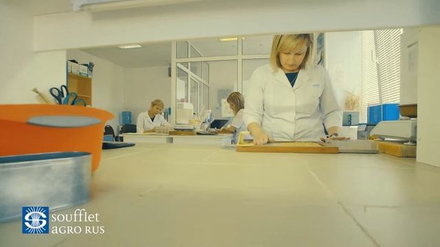 Суффле Агро Рус - ежедневно движемся вперед! смотреть онлайн