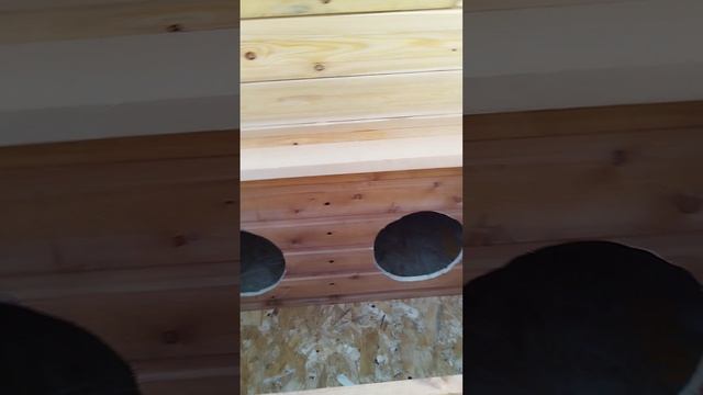 Курятник с подседником, не утеплённый 👍 смотреть онлайн