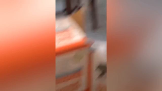 ПРИКОЛЫ С ЖИВОТНЫМИ ДО СЛЕЗ / Смешные КОТЫ 2022 / Приколы с КОТАМИ / Funny ANIMALS video смотреть онлайн