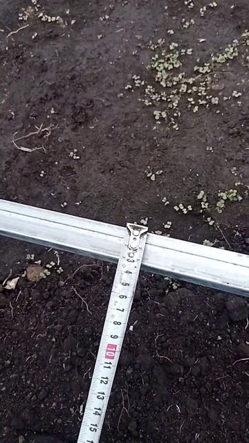 Лучшие теплицы Кузбасса! смотреть онлайн