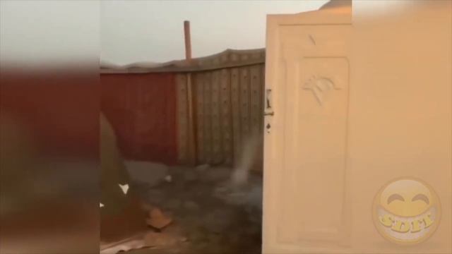УБОЙНЫЕ ПРИКОЛЫ 2018. НОВЫЕ. СМЕШНЫЕ. ПРИКОЛЫ. ПОЗИТИВ. ОТЛИЧНОЕ НАСТРОЕНИЕ. смотреть онлайн
