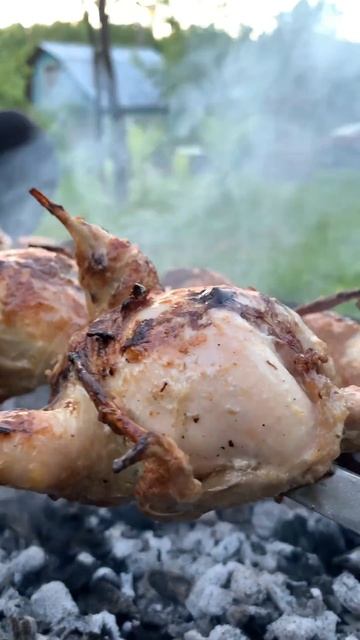 Шашлык из перепелов #перепелинаяферма #перепелки #пер?