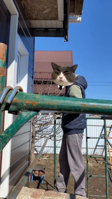 ПОТОЛОК над КРЫЛЬЦОМ смотреть онлайн