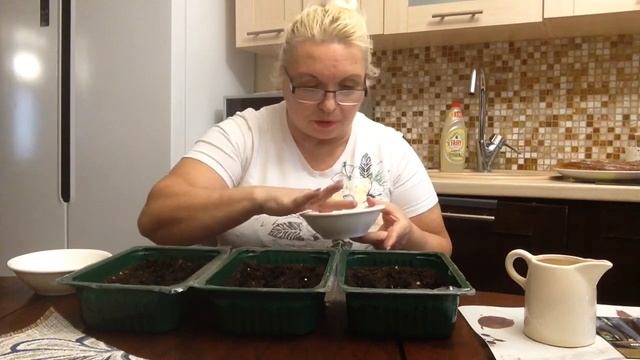 Посевная🌾🎋💐 Болталка. Переезд на юг. смотреть онлайн