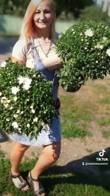 Мой мир #дача #цветы #сад #огород #лето смотреть онлайн