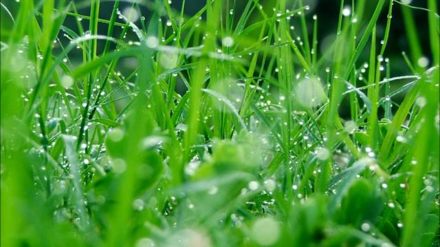 Одкриття / Откровение / Revelation 22:12